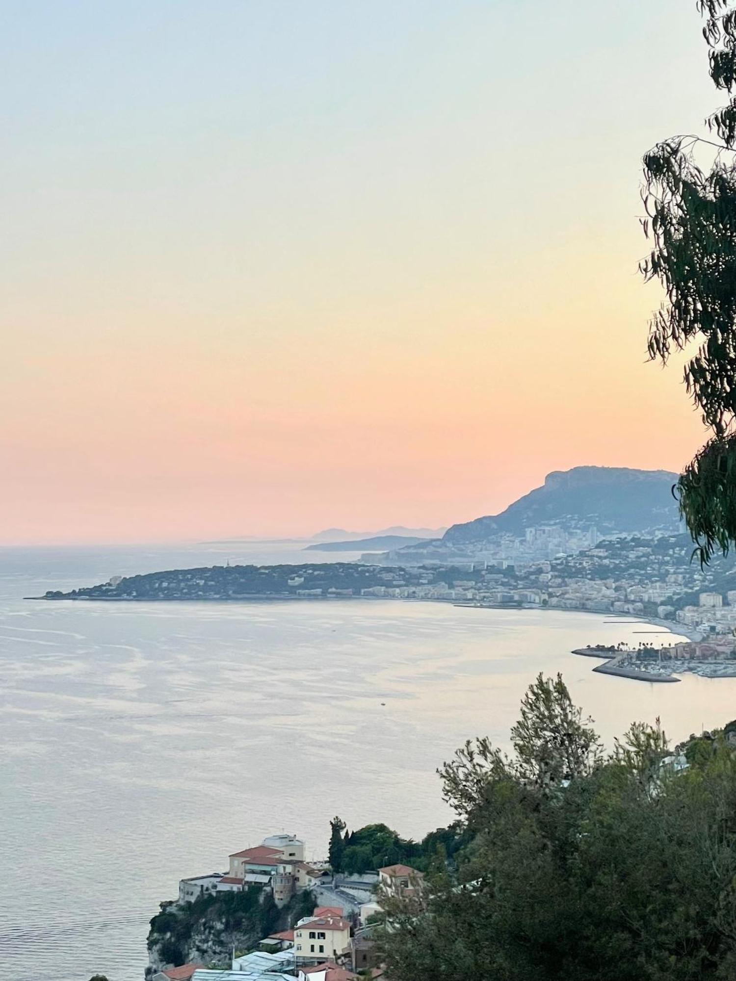 Modern Seaview Villa With Pool Above Monaco 그리말디 외부 사진